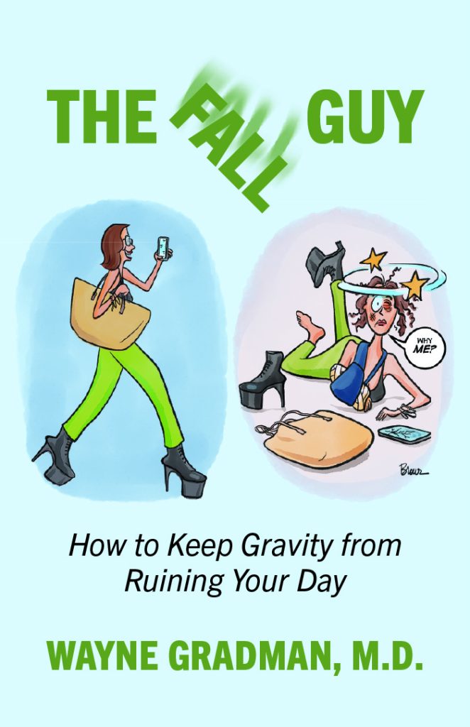 The Fall Guy book cover